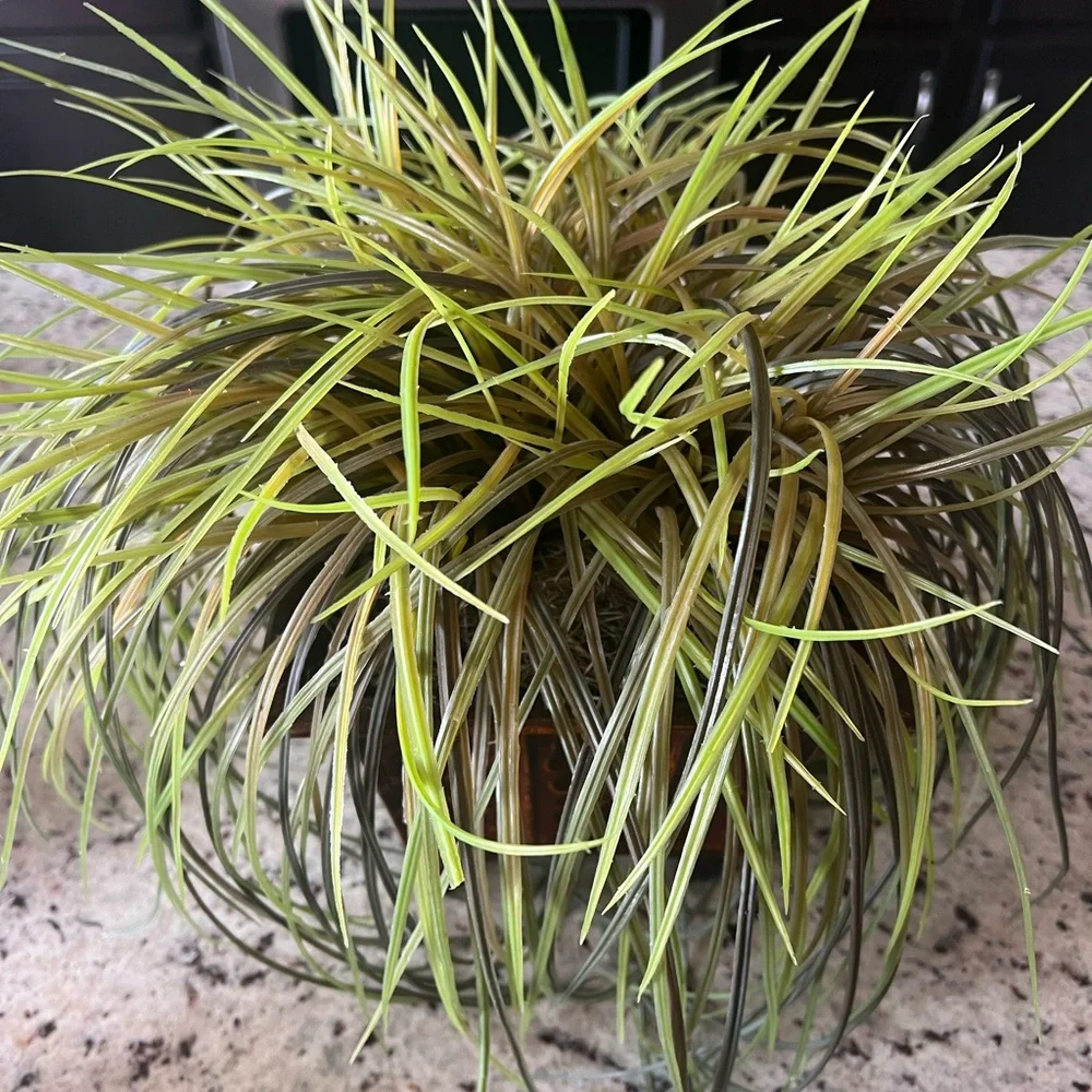 Green Faux Grass in Brown Planter - Picture 2 of 7